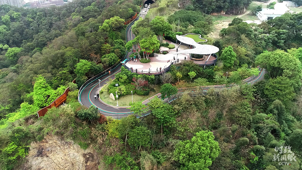 △郊野福道日?？土髁棵刻旒s1.3萬人次。（總臺央視記者范本輝拍攝）